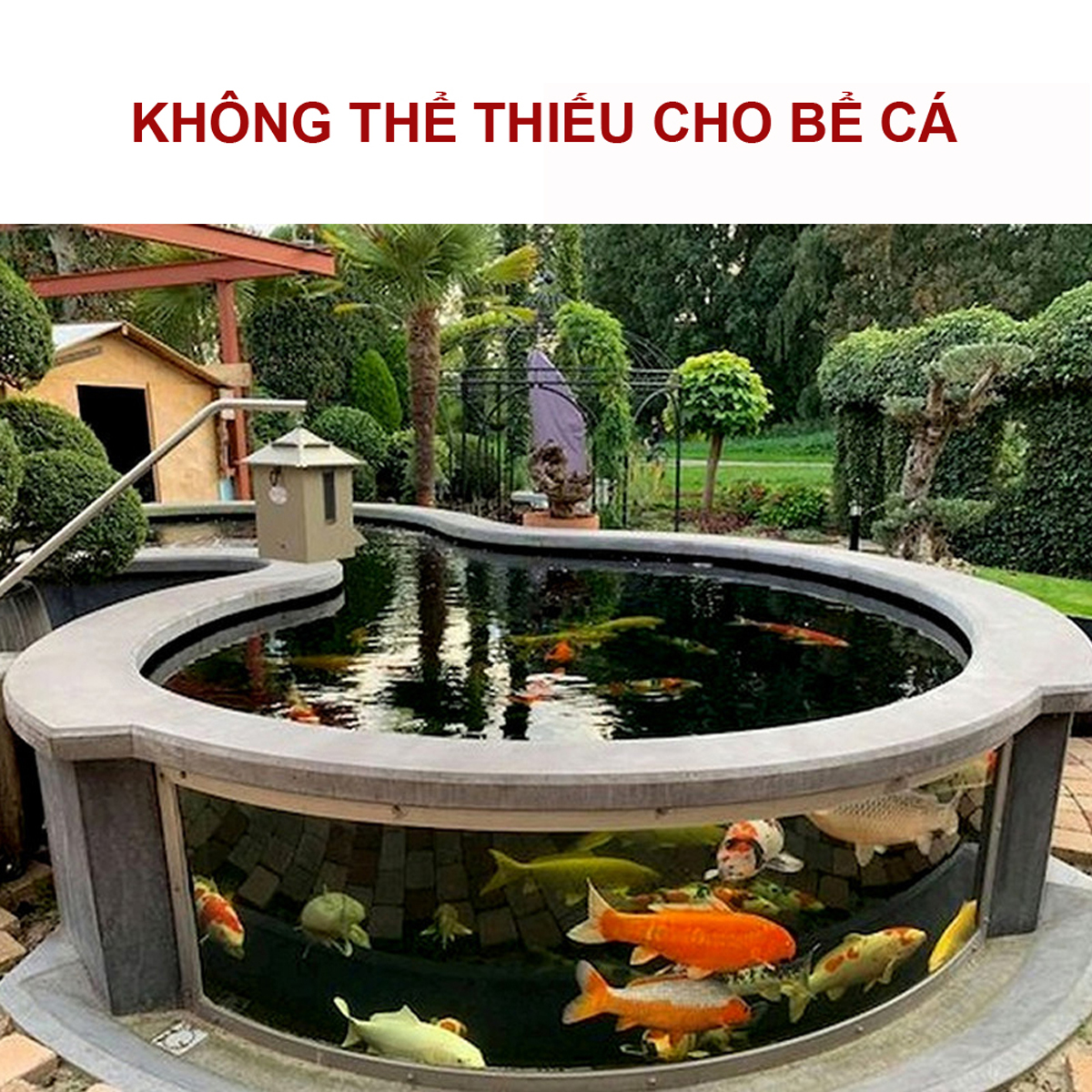 Vitamin tổng hợp 100GR cho cá cảnh, cá rồng, cá vàng, cá bảy màu guppy, cá rồng, cá Koi, ếch rùa, baba, lươn ...