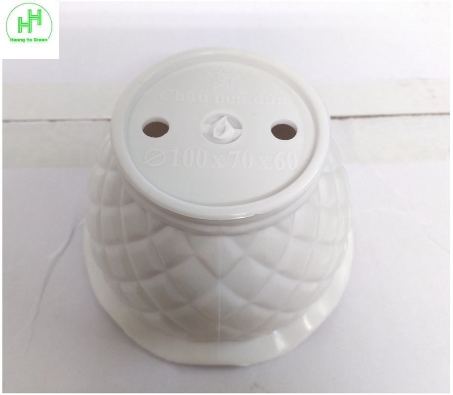 2 Combo chậu nhựa quả Dứa 100x70x60 + đĩa lót chậu 85x10 , trồng cây mini, xương rồng, cây để bàn, sen đá