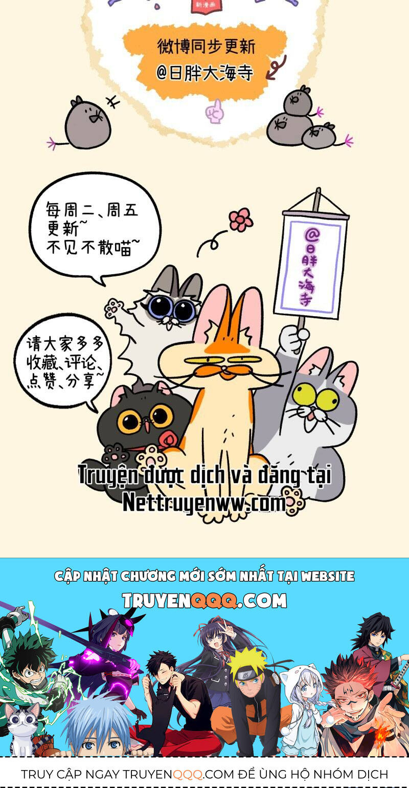 a mãn và mạch trà chapter 45.1 9