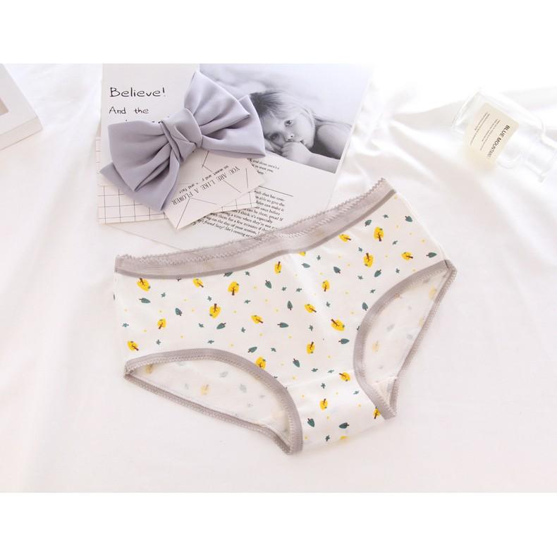 Hộp 05 quần lót cotton hình mèo ghi trắng