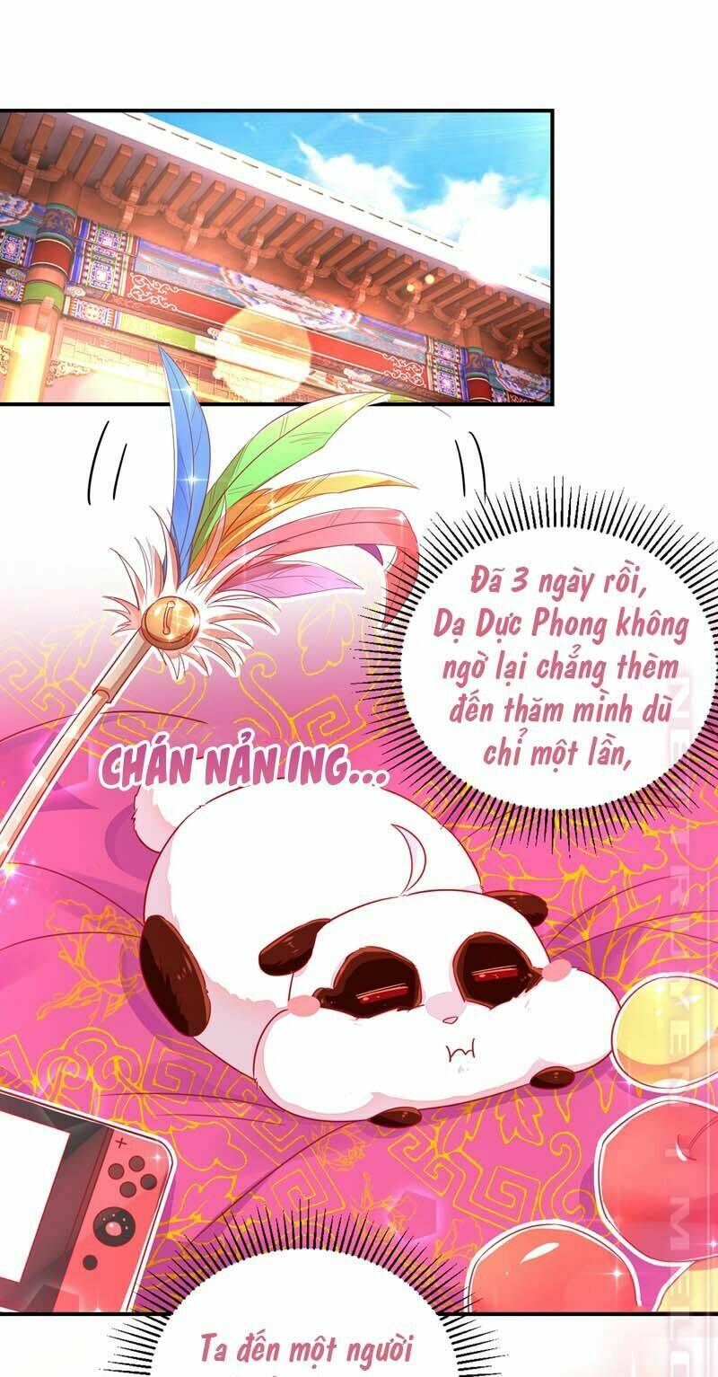 thiên thần gấu trúc muốn được ôm chapter 59 3