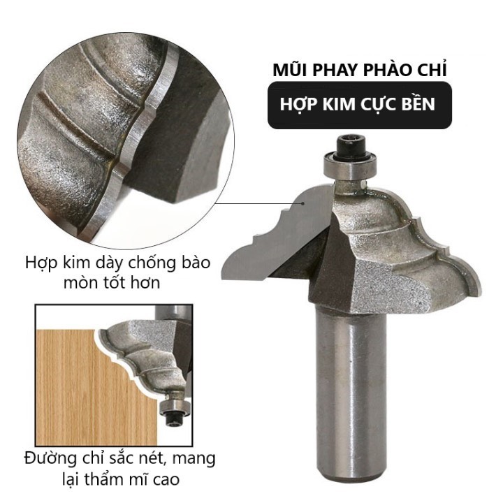  Mũi soi chỉ cửa xám