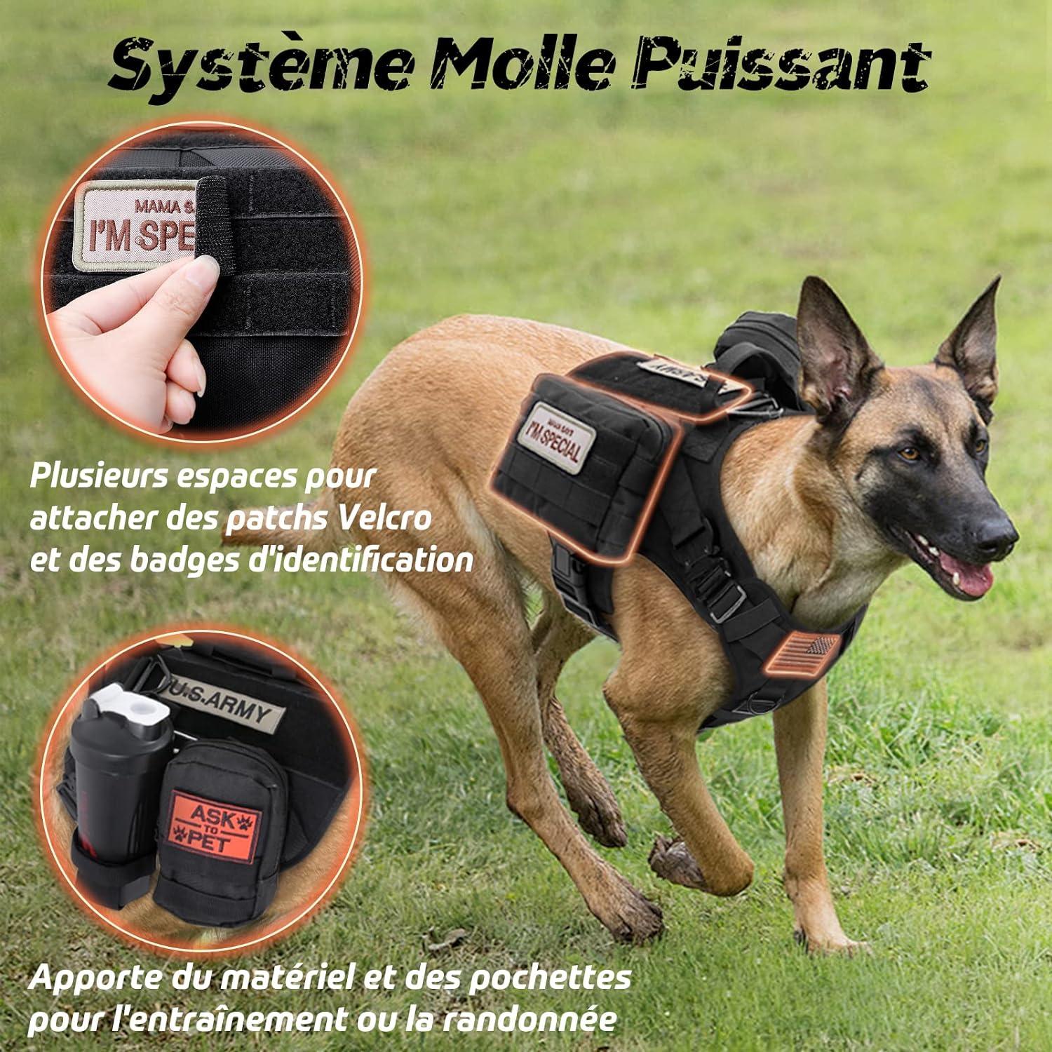 Chó khai thác chiến thuật m đen m, nhẫn áo cho chó làm việc quân sự, chó khai thác quân sự chó, với phích cắm dây đeo để đi bộ và săn bắn