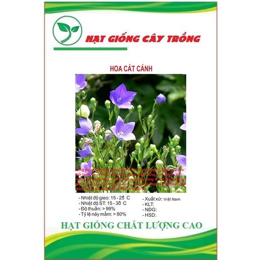 Hạt giống hoa cát cánh CT210 - Gói 50 hạt
