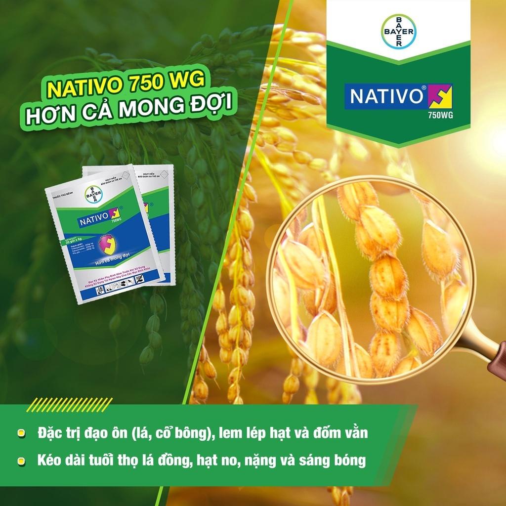 Thuốc Trừ Nấm Bệnh Cây Trồng Nativo 750WG gói 6g