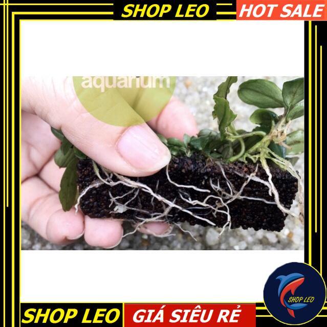 Giá thể Napad Thuỷ Mộc - Napad Giá Thể Buộc Cây - ươm cây thủy sinh - bucep - buộc ráy - phụ kiện thủy sinh - shopleo
