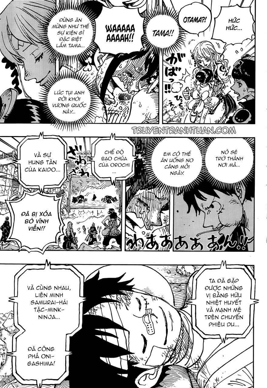 đảo hải tặc - one piece chapter 1051 11