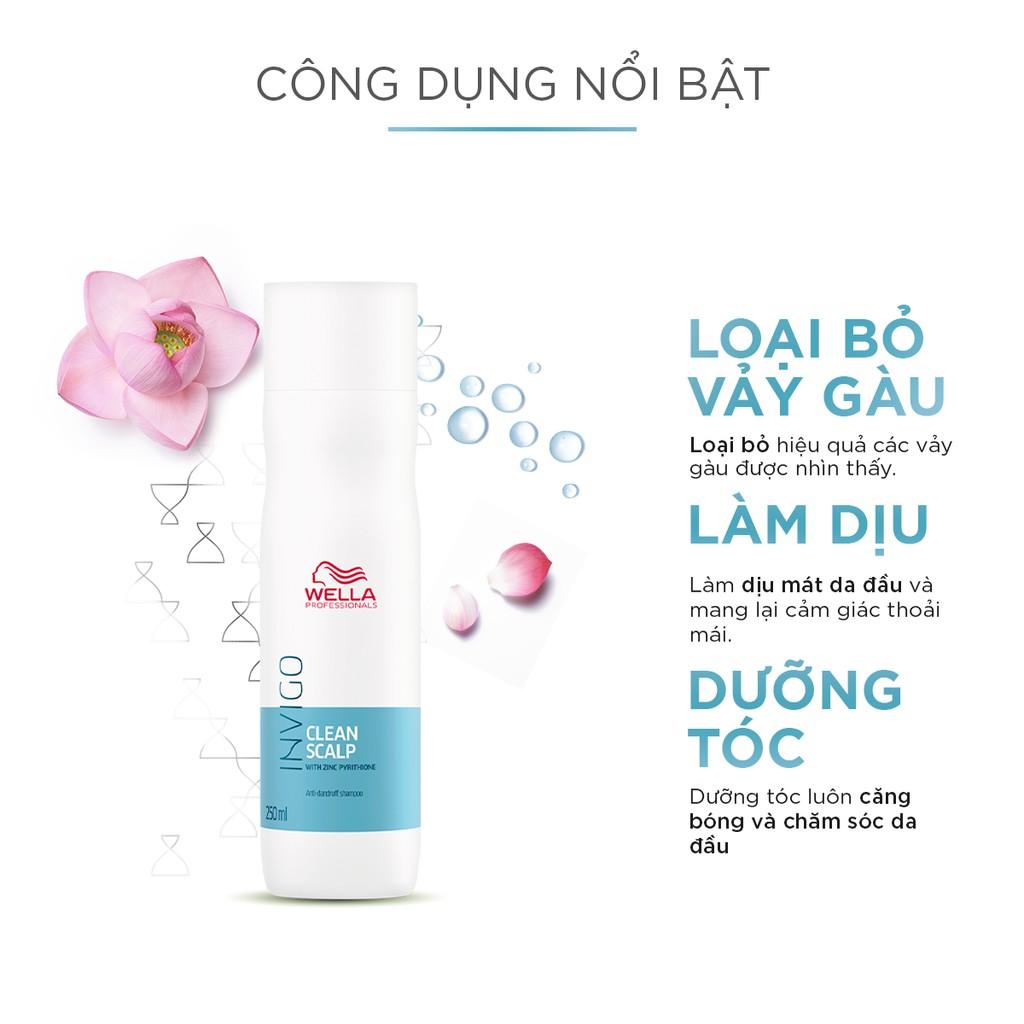 Dầu Gội Wella Invigo Giúp Chống Gàu, Làm Sạch Da Đầu Hiệu Quả Clean Scalp Anti-dandruff Shampoo 250ml