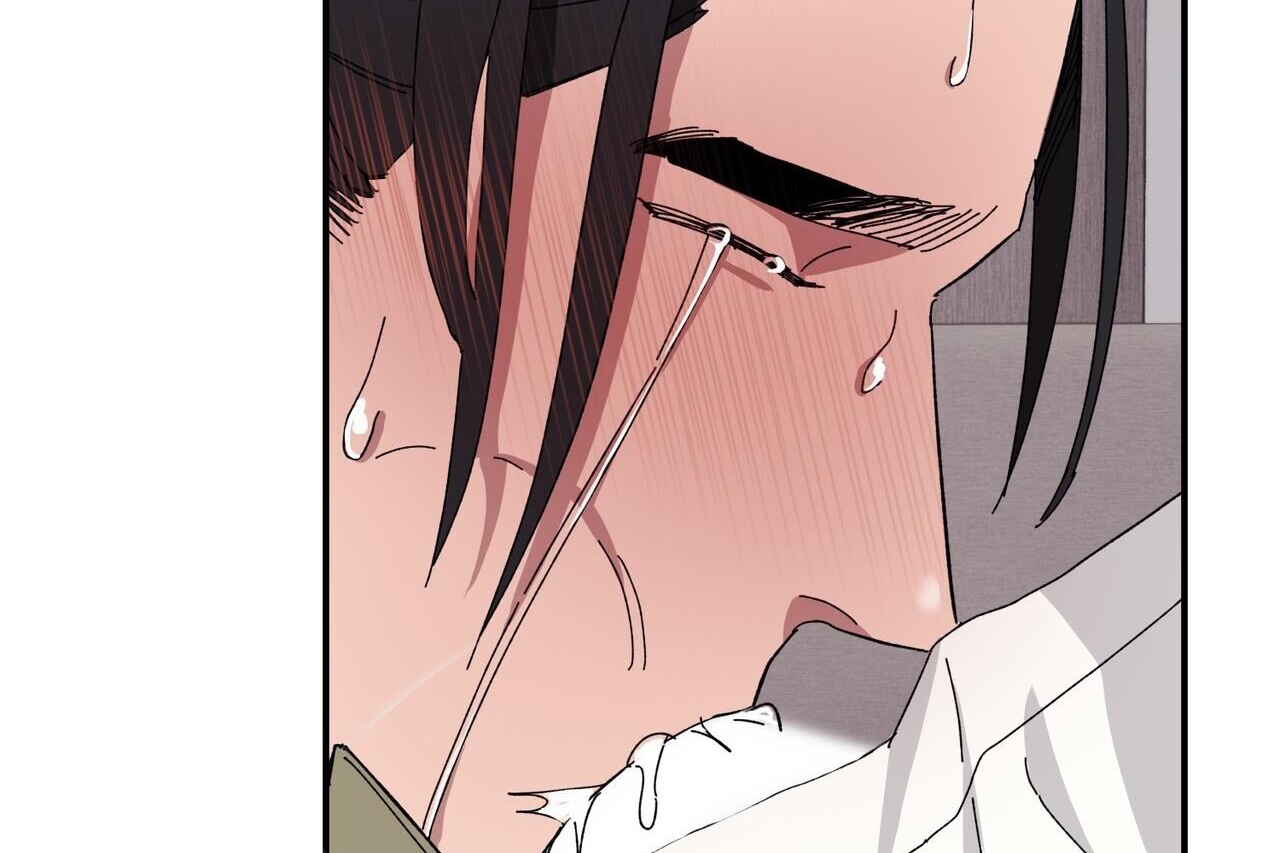 chàng dâu nhà họ kang chapter 34 126