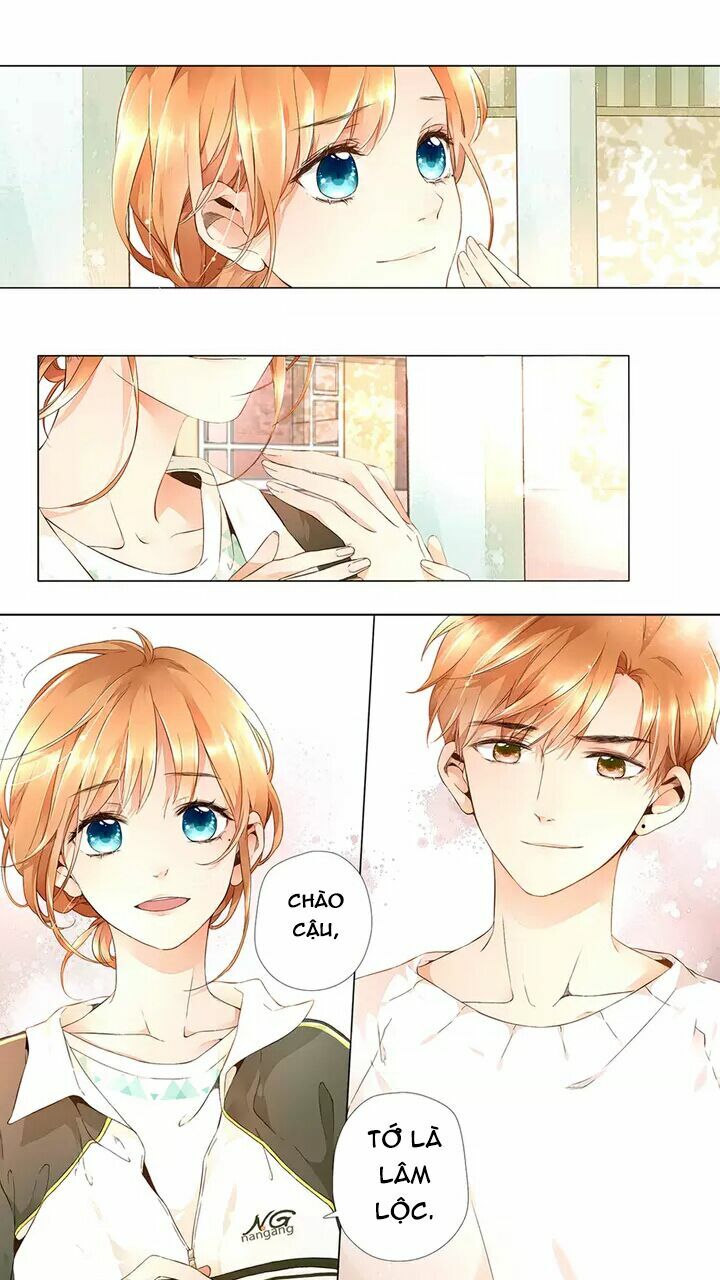 Tình yêu là màu hoa anh thảo chapter 16.3 4