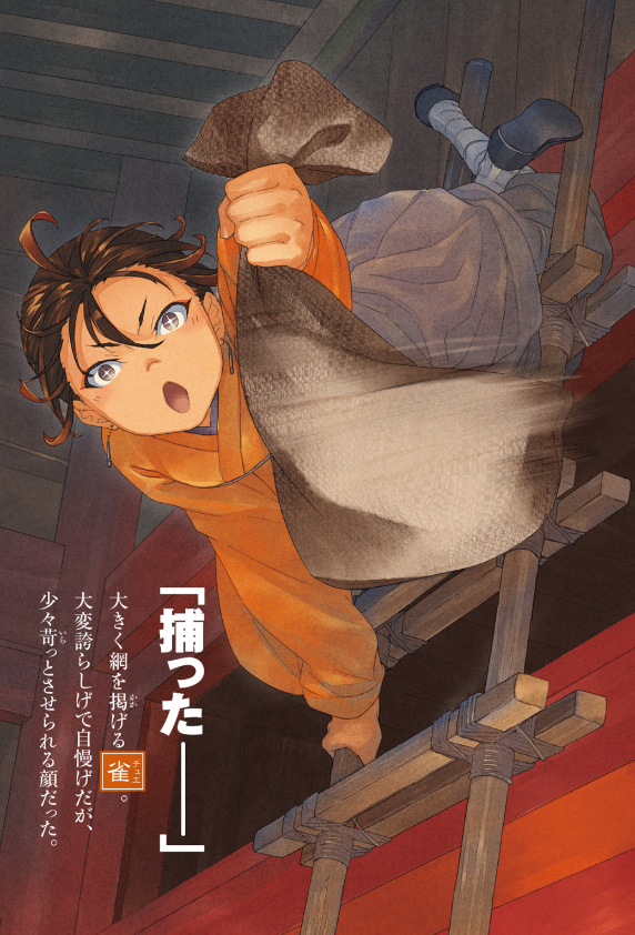 Sách ngoại văn: The Apothecary Diaries 10 (Light Novel) (Japanese Edition)