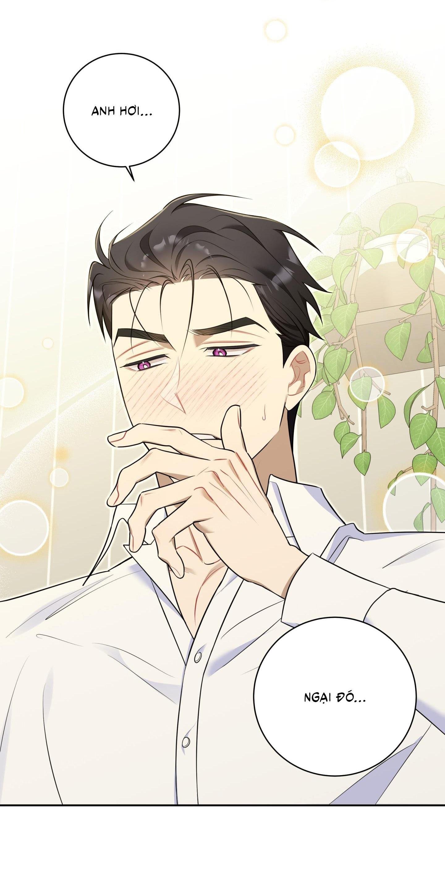 bắt tay hả, thôi bỏ đi! chapter 31 37