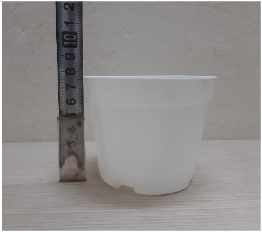 50 Chậu Nhựa Trồng Lan, Cây Cảnh Mini Fi 10cm - Màu Trắng - Cốc ươm fi 10 màu Trắng