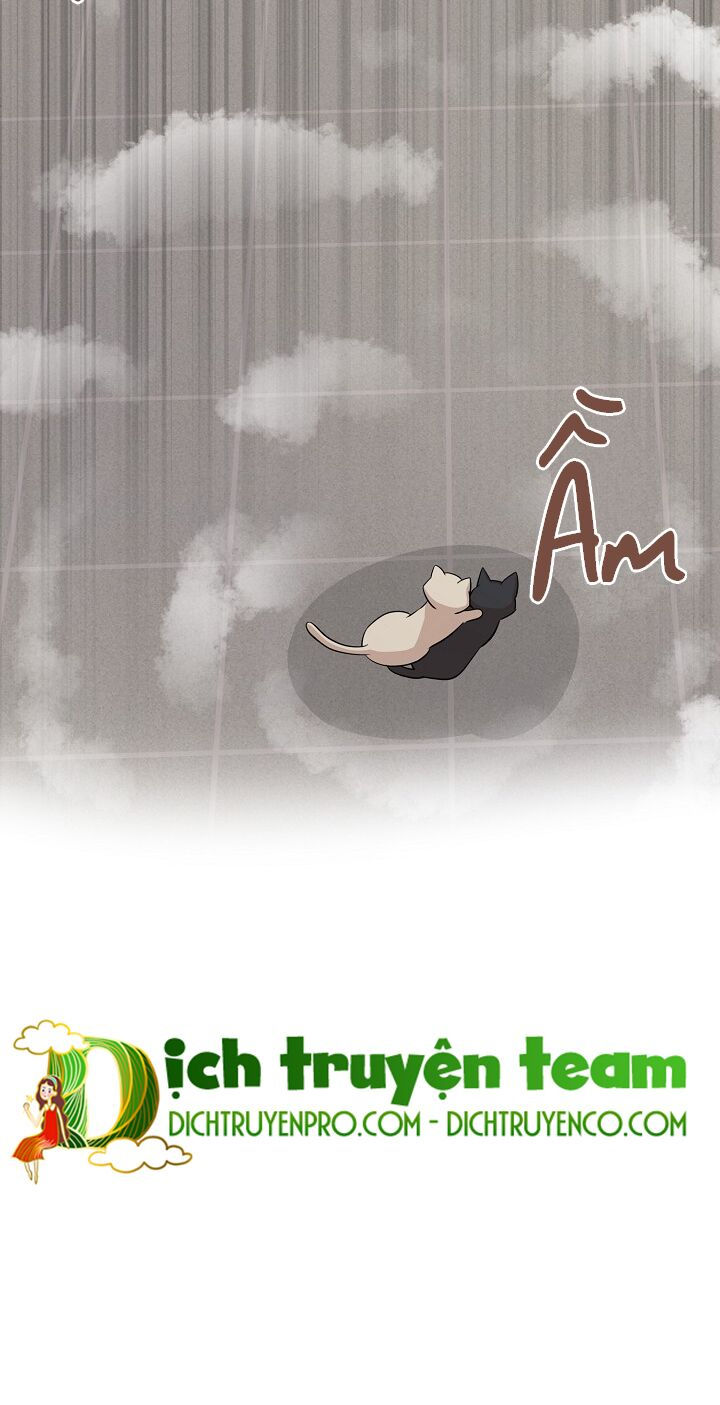 cuộc sống kỳ thú chapter 69 31