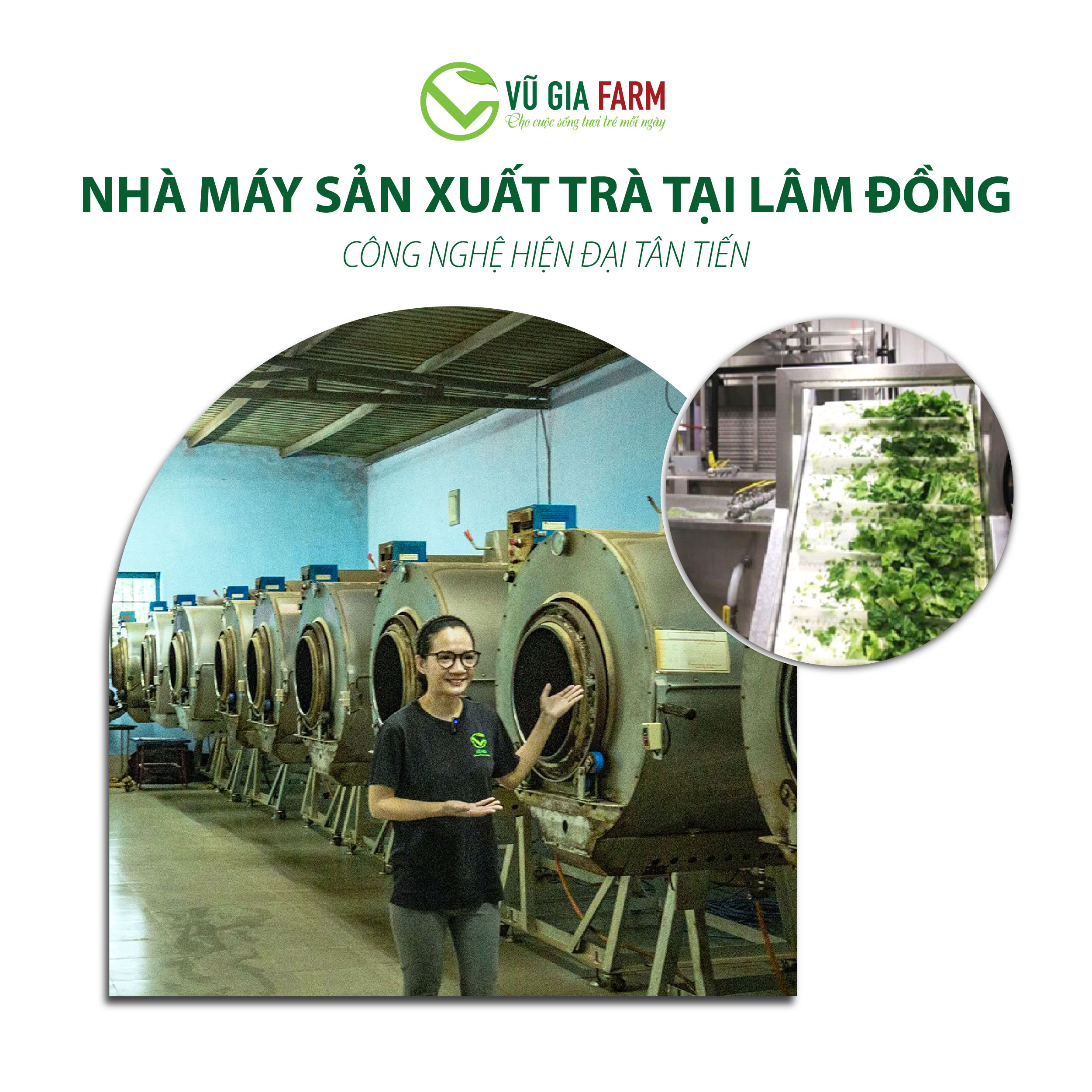 Hồng Trà ( Trà Đen) Cao Cấp Nguyên Chất Vũ Gia (200g/ hũ)