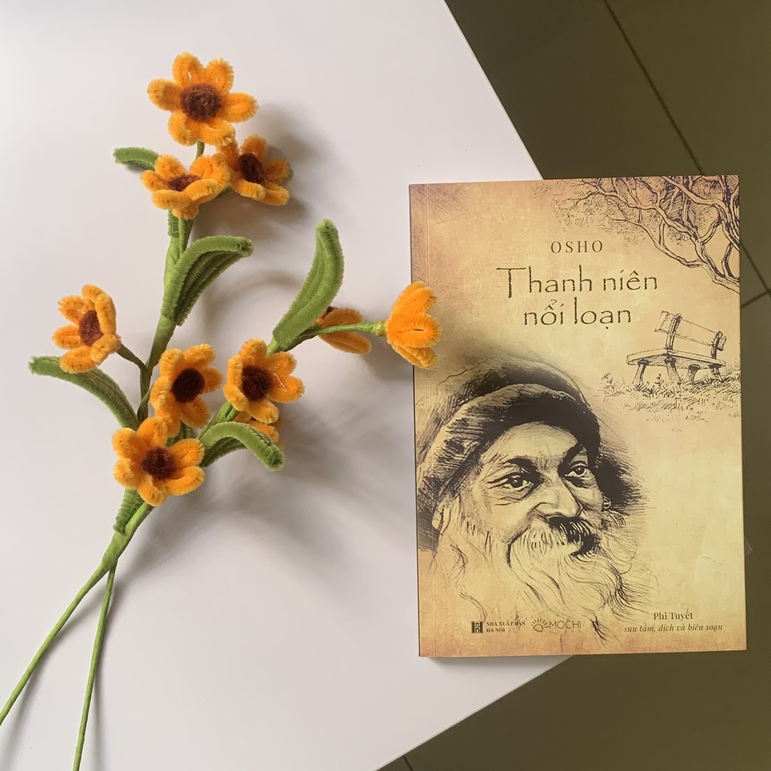 Sách - Thanh niên nổi loạn