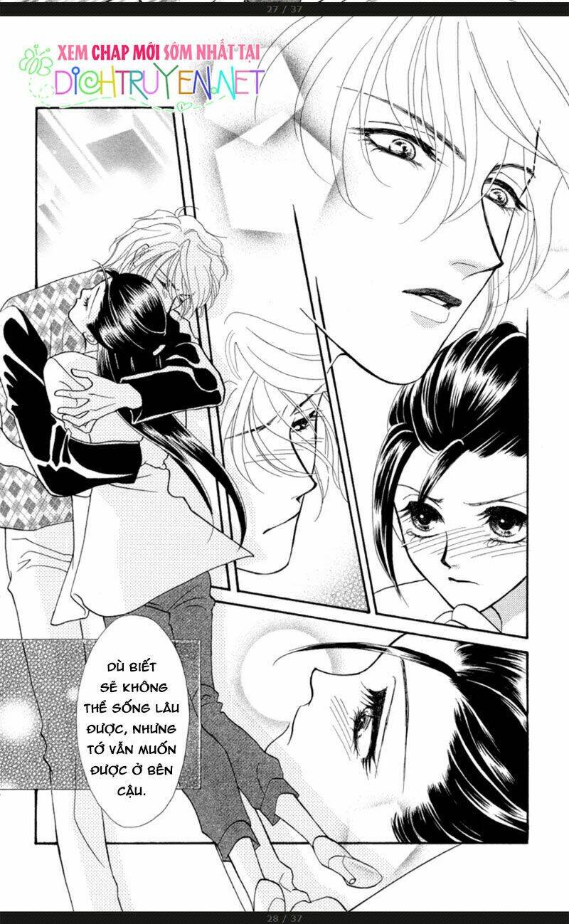 đóa hồng dành tặng seri chapter 5 27