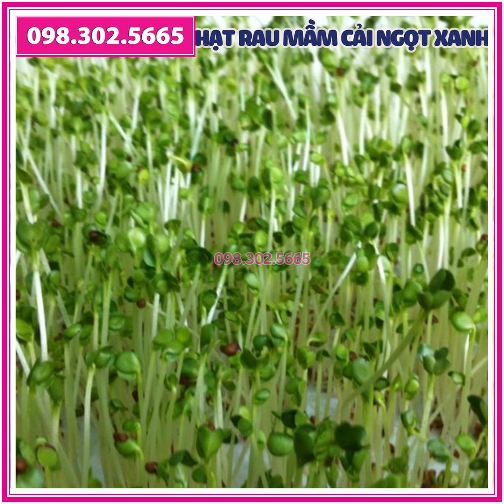 Hạt giống rau mầm rau cải ngọt Xanh - gói 50g - hạt chất lượng tốt, nảy mầm đồng đều