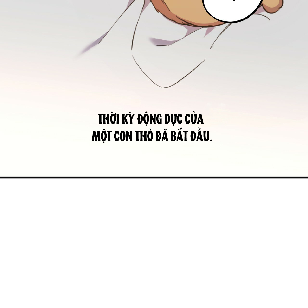 những chú thỏ của hapypy chapter 1 45