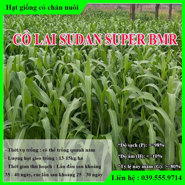 1KG Hạt cỏ Chăn Nuôi Gồm Cỏ Voi Lai 500gram & Hạt cỏ Chăn Nuôi Sudan Super BMR 500gram