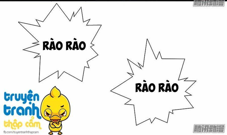 cường sủng hào môn tiểu manh thê chapter 17 16