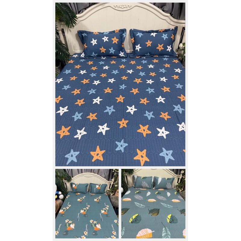 Bộ ga gối trần bông BAMBILOO cotton nhật