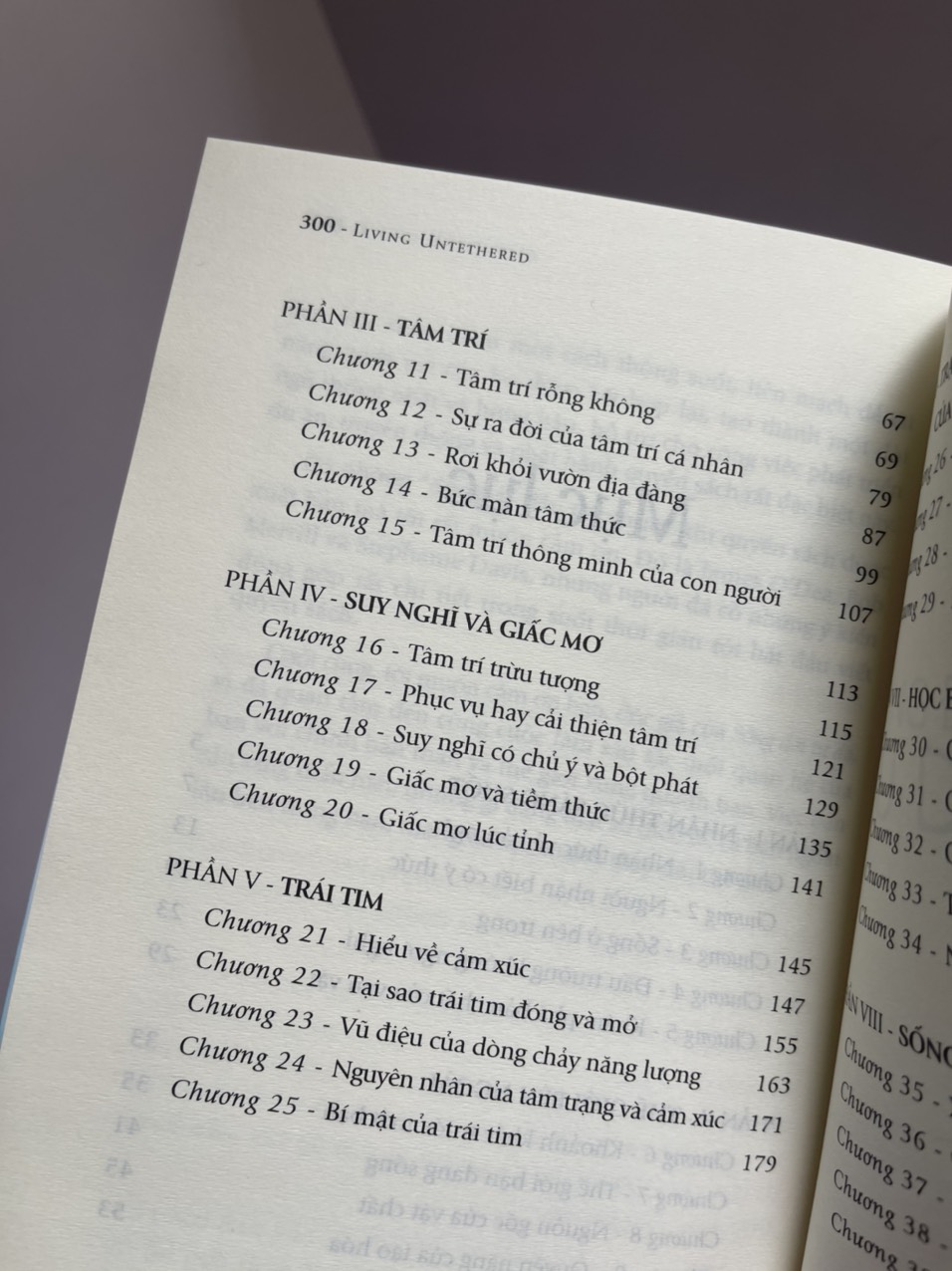 (Tác giả cuốn cởi trói linh hồn, quyển sách bán chạy #1 New York Times) SỐNG ĐỜI TỰ DO - Michael A. Singer – Bủi Thị Ngọc Hương dịch – First News -NXB Dân Trí