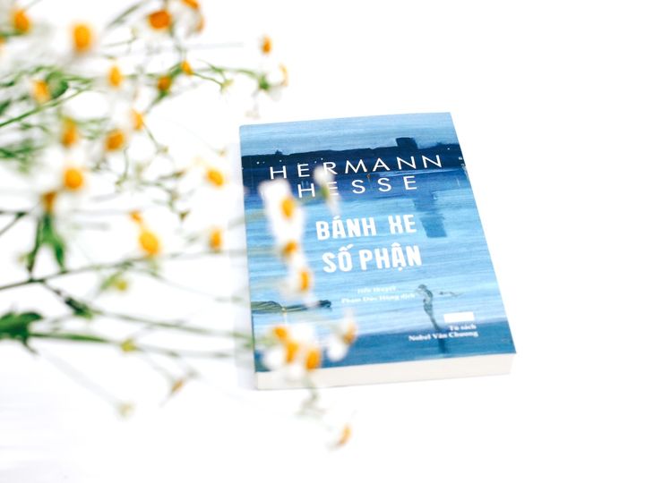 Bánh Xe Số Phận - Hermann Hesse - Sách Tao Đàn