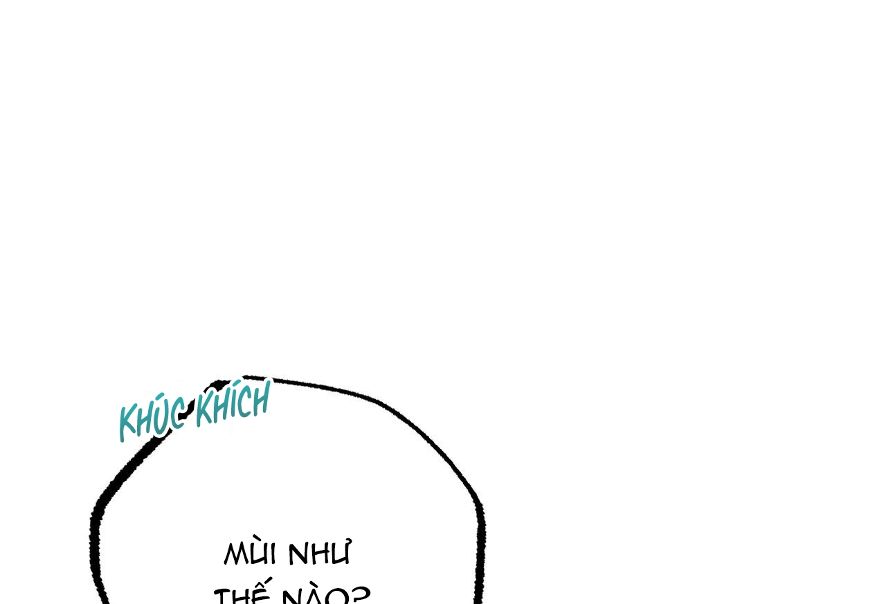 đàn thỏ của habibi chapter 35 235