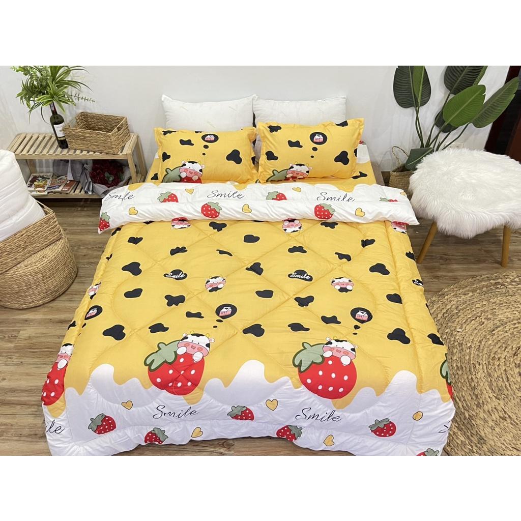Bộ chăn ga gối Cotton poly Hàn Quốc