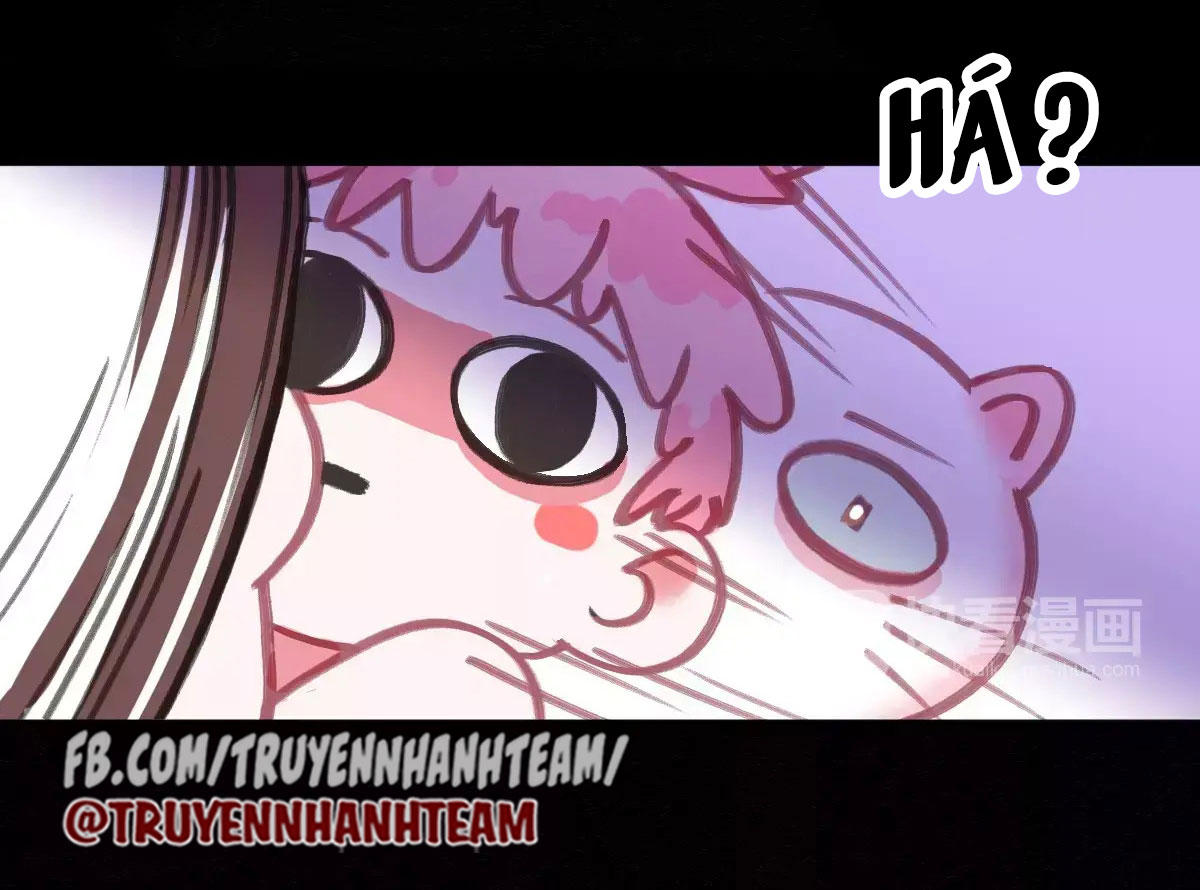xã hội mèo chapter 2 46