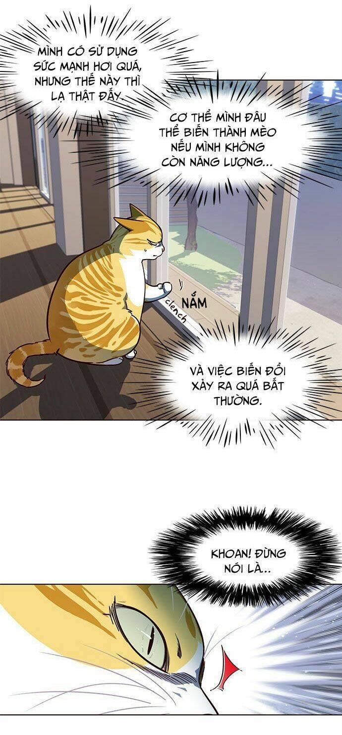 biến thân thành mèo chapter 16 11