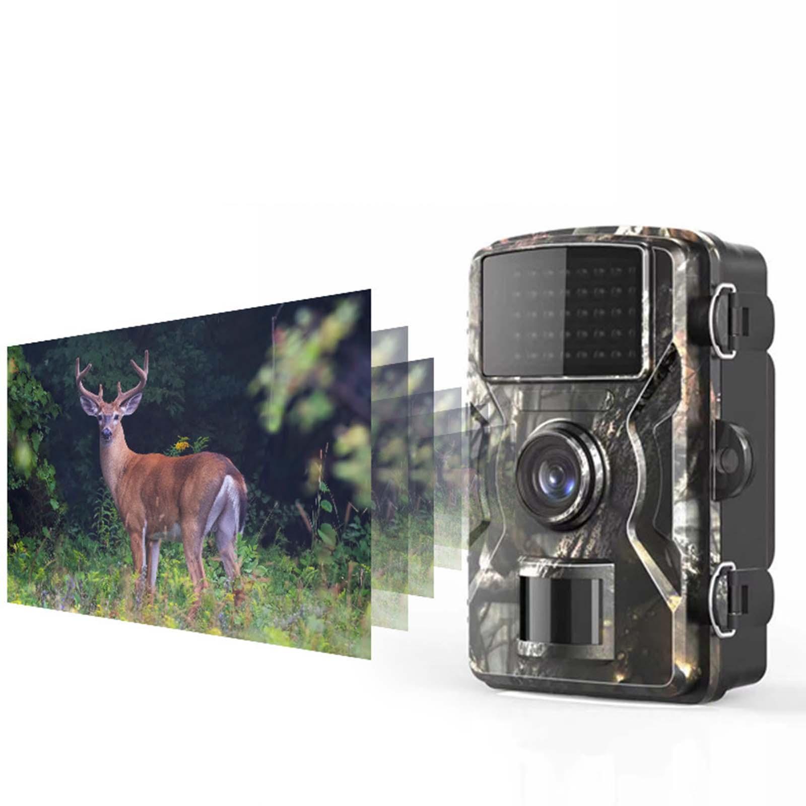 1920x1080 Trail Camera for Wildlife Viewing Farm Area