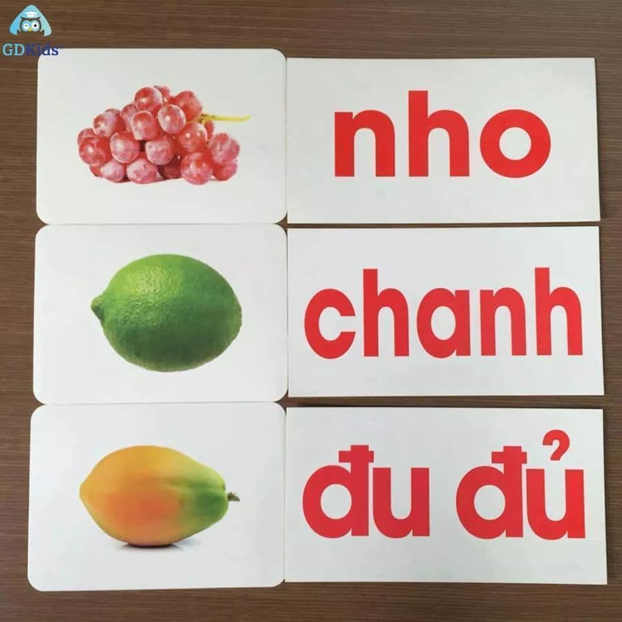 Combo Flash Card - Thẻ học thông minh theo phương pháp phương pháp Glenn Doman trọn bộ (03 bộ)