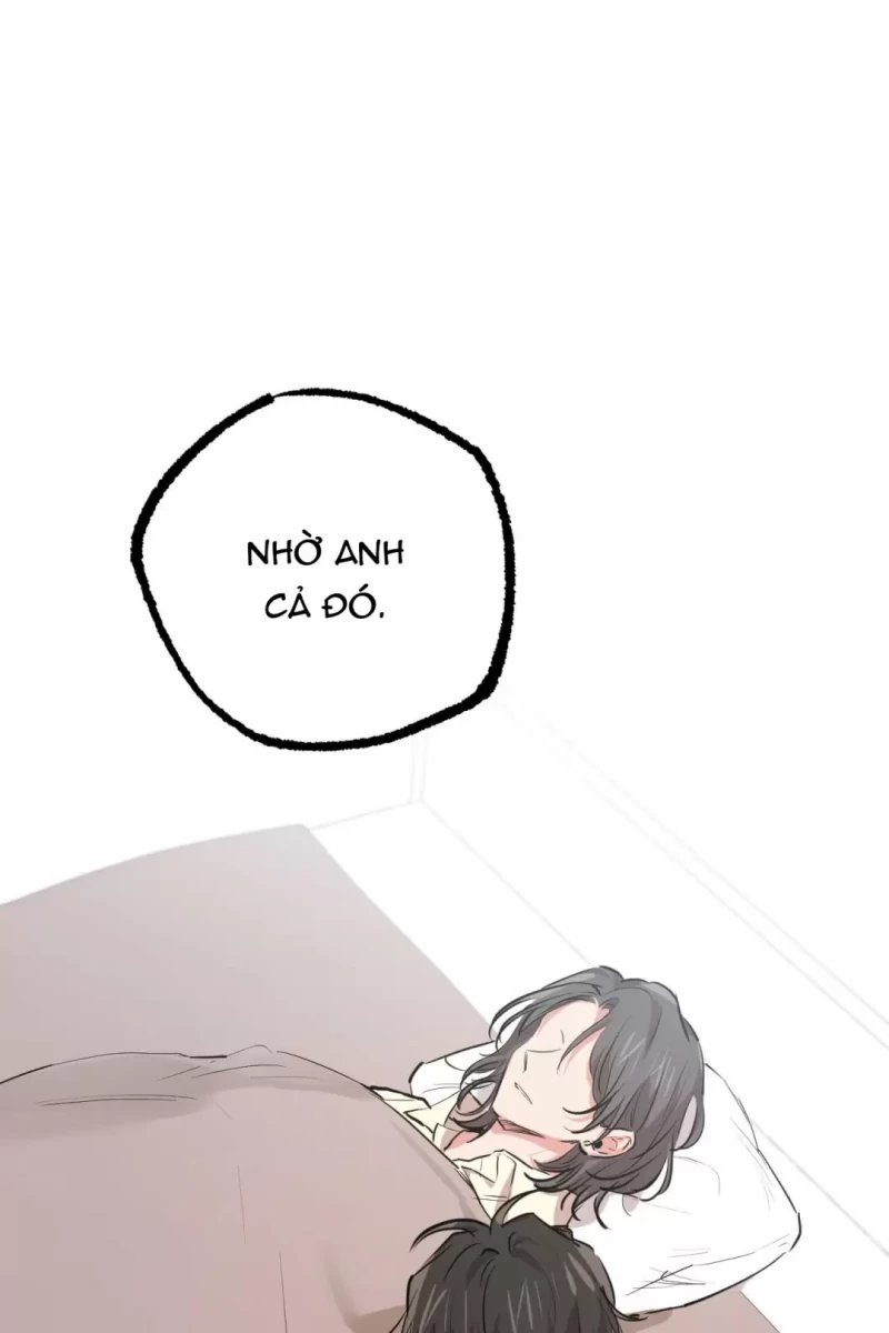 những chú thỏ của hapypy chapter 31.5 19