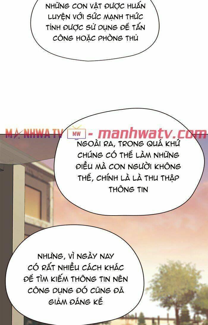 biến thân thành mèo chapter 81 41