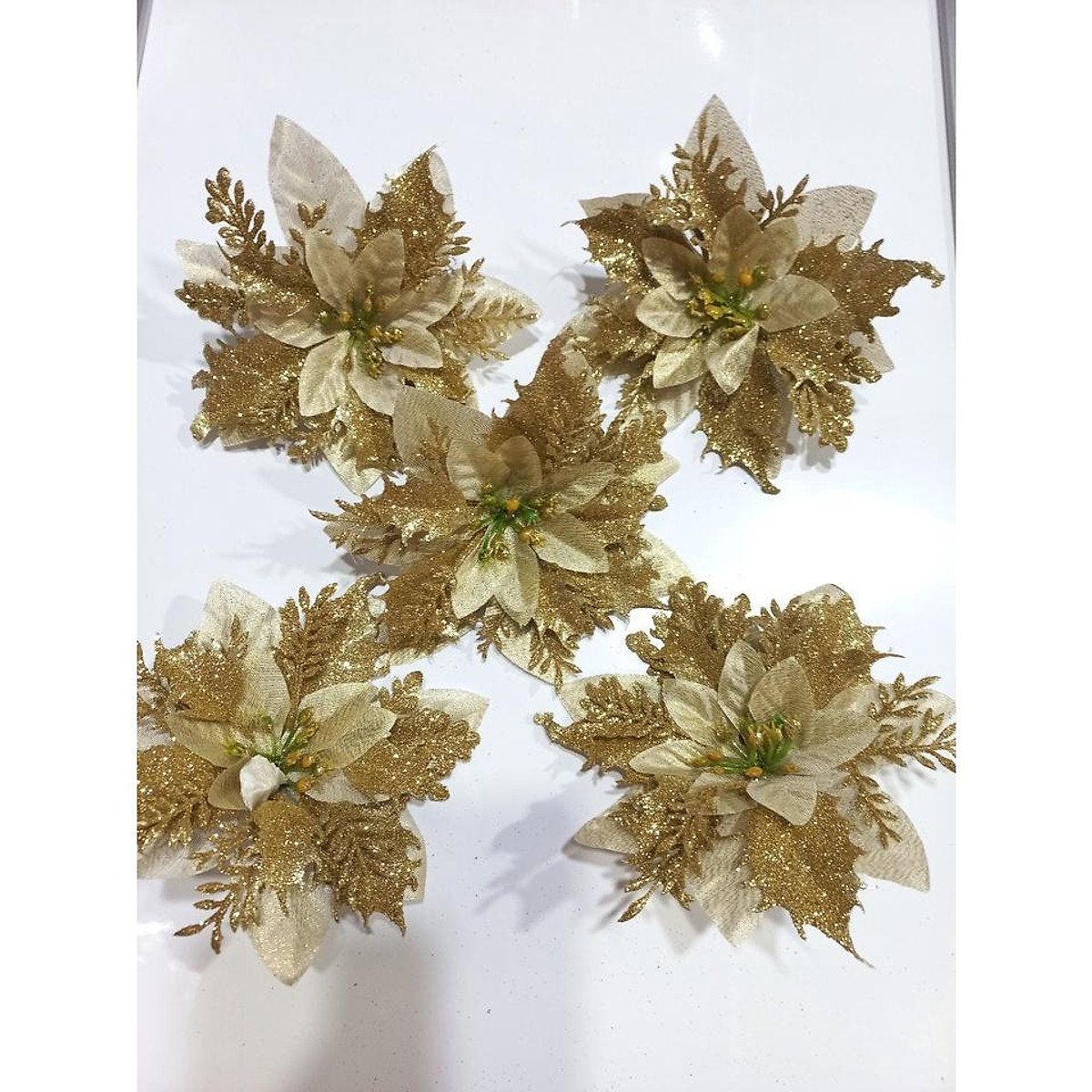 Combo hoa trạng nguyên trang trí