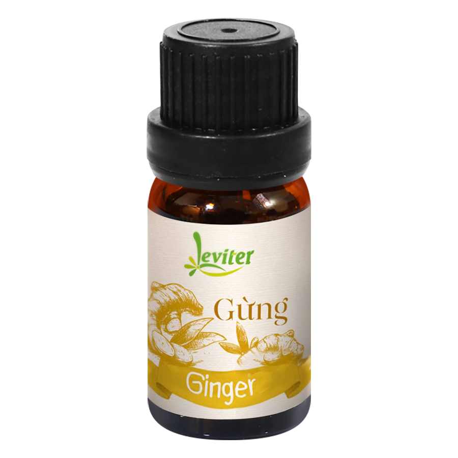 Tinh Dầu Leviter Gừng (10ml)