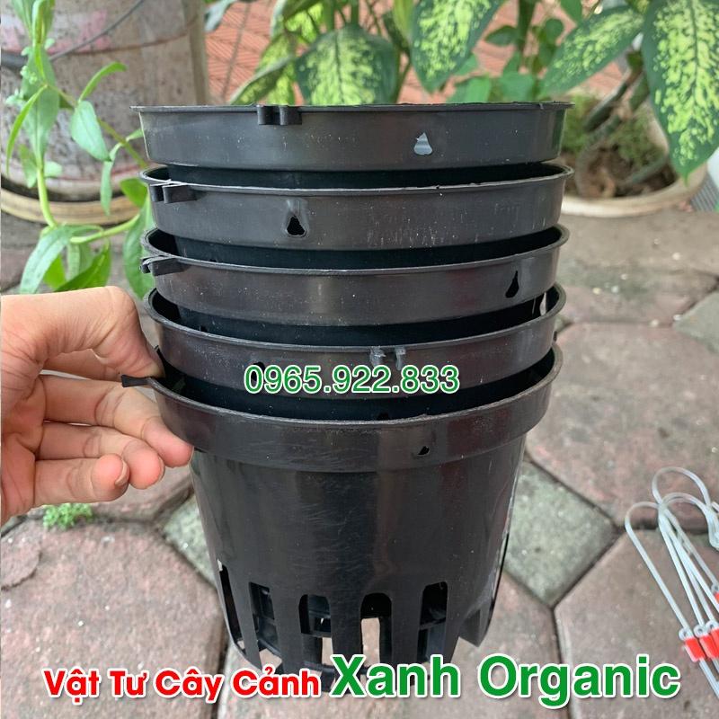 Chậu nhựa trồng lan màu đen Phi 16cm