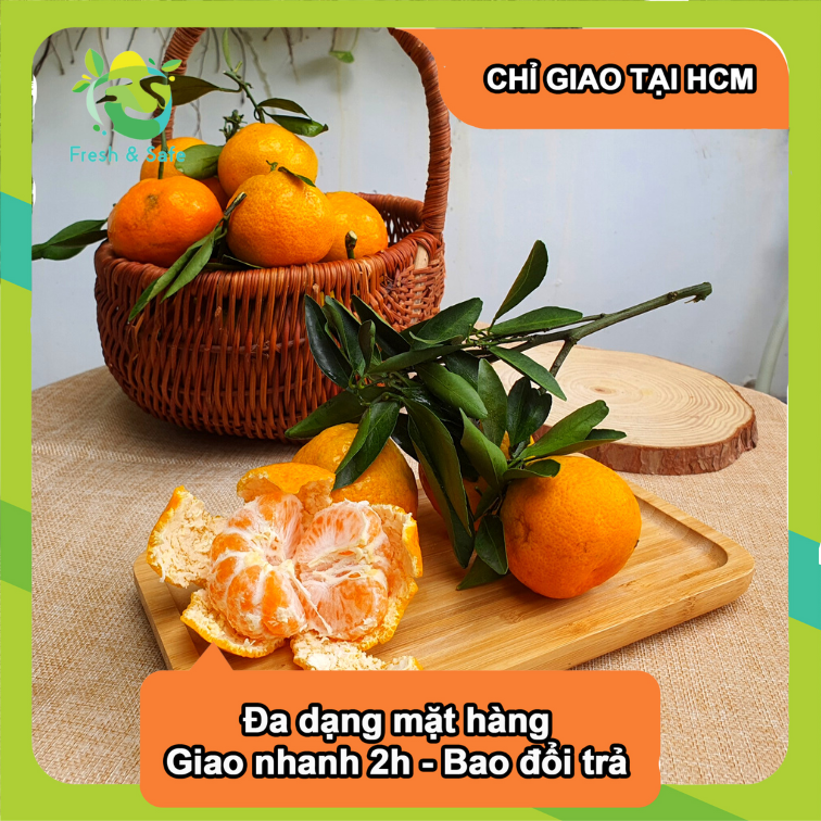 Quýt giống Thái - 1KG