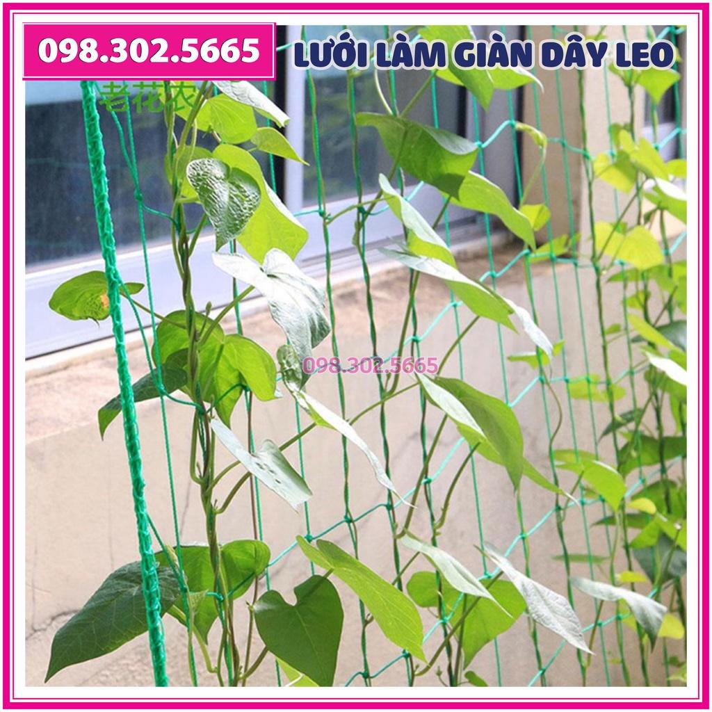 Lưới làm giàn dây leo - 1,8m x 1,8m - bền chắc, đẹp