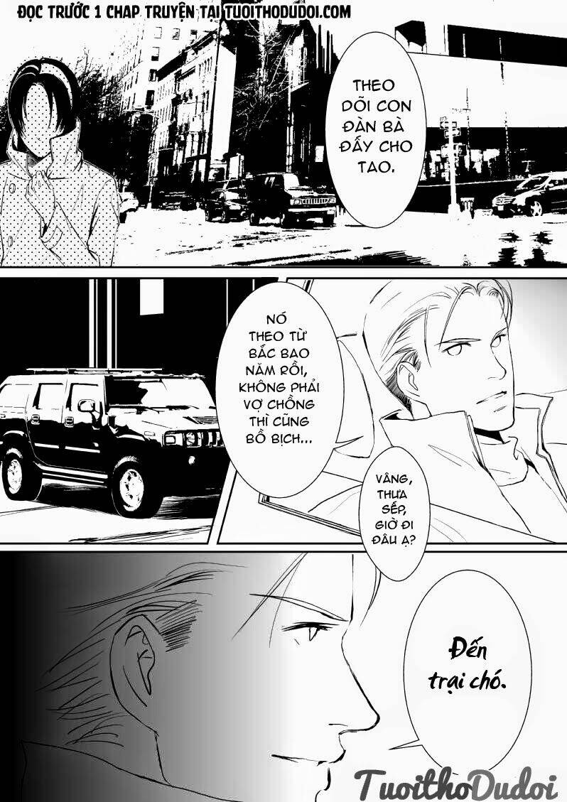 sự mê hoặc của sói chapter 8 8