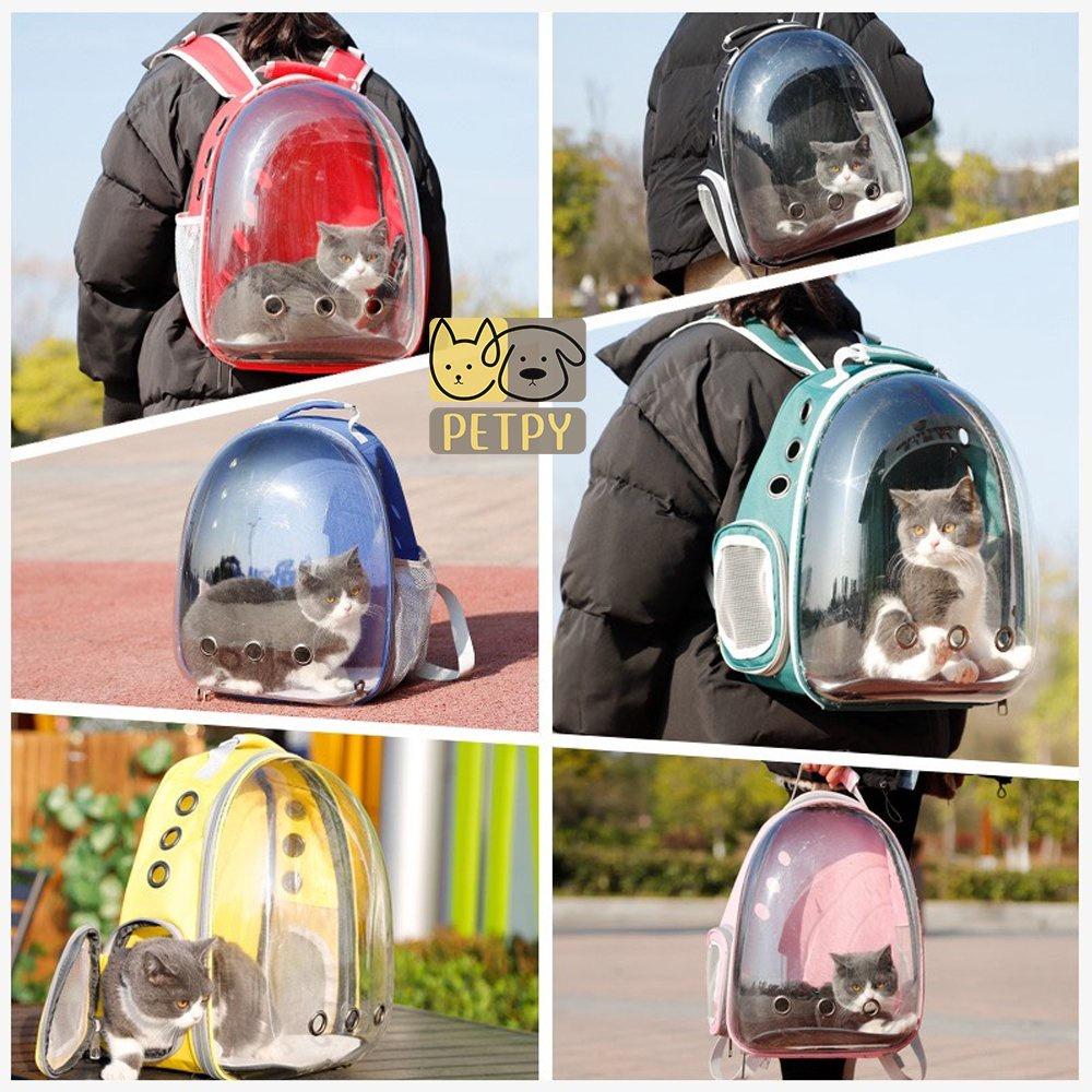 Balo vận chuyển thú cưng trong suốt nhựa PVC, balo chó, balo mèo