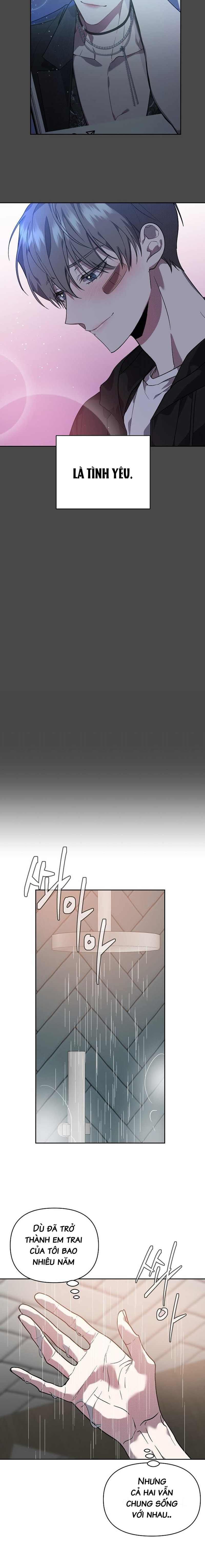 marigold dilemma chapter 2 6