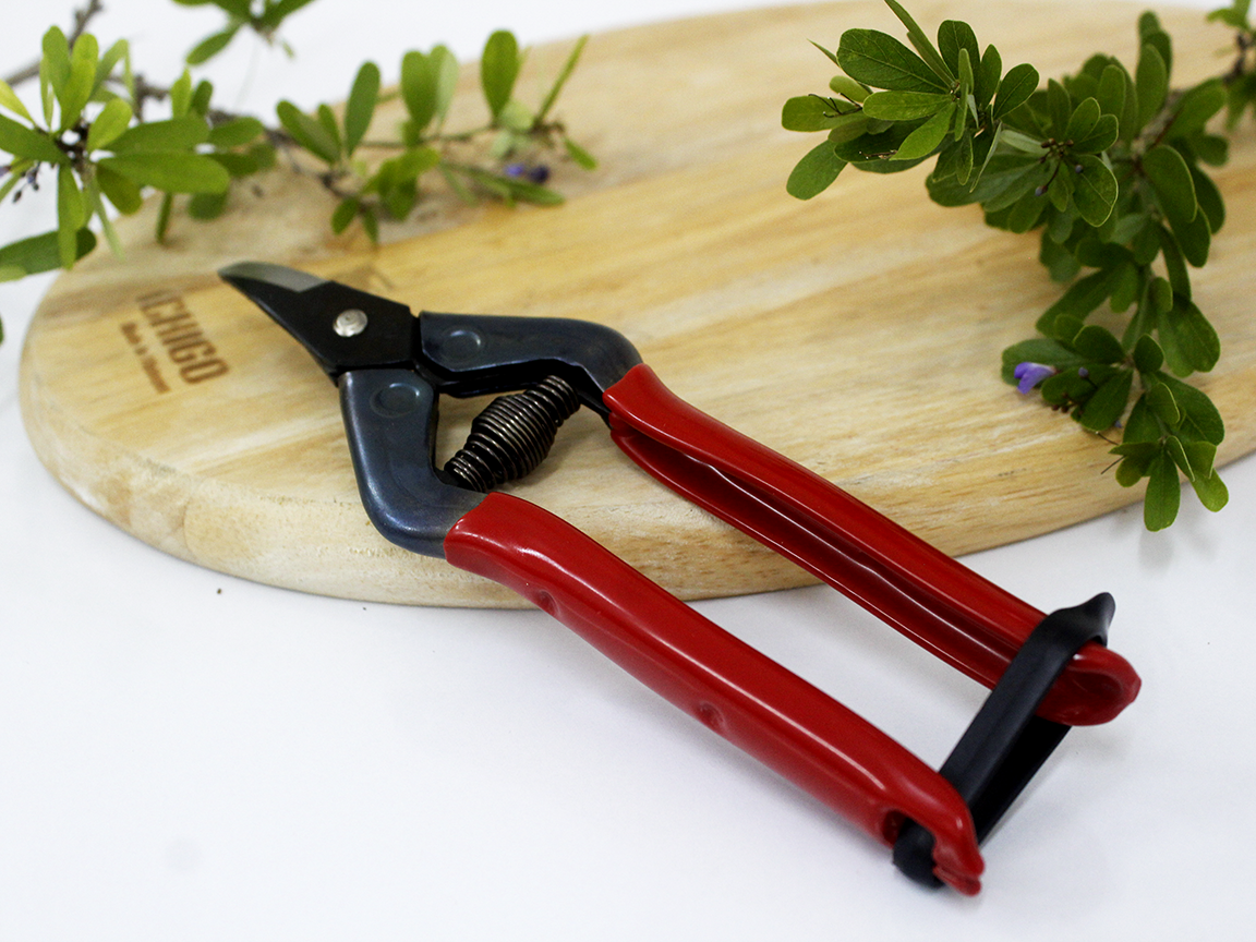 Kéo tỉa cành cao cấp Nhật Bản Chikamasa S-2C chiều dài lưỡi 23mm - lưỡi thép carbon chất lượng cao siêu bén - Cắt ngọt, không bám dính, liền sẹo nhanh