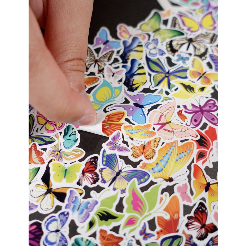 Bộ 4 tờ Sticker Sinwoo chất liệu trong suốt kèm 5 tranh | Bộ sticker trang trí sổ DIY độc đáo