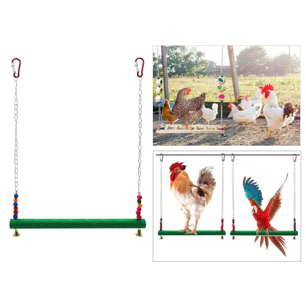 Chicken Swing Pet Swing Chewing Toys for Hens Large Bird Parrot Macaw Training