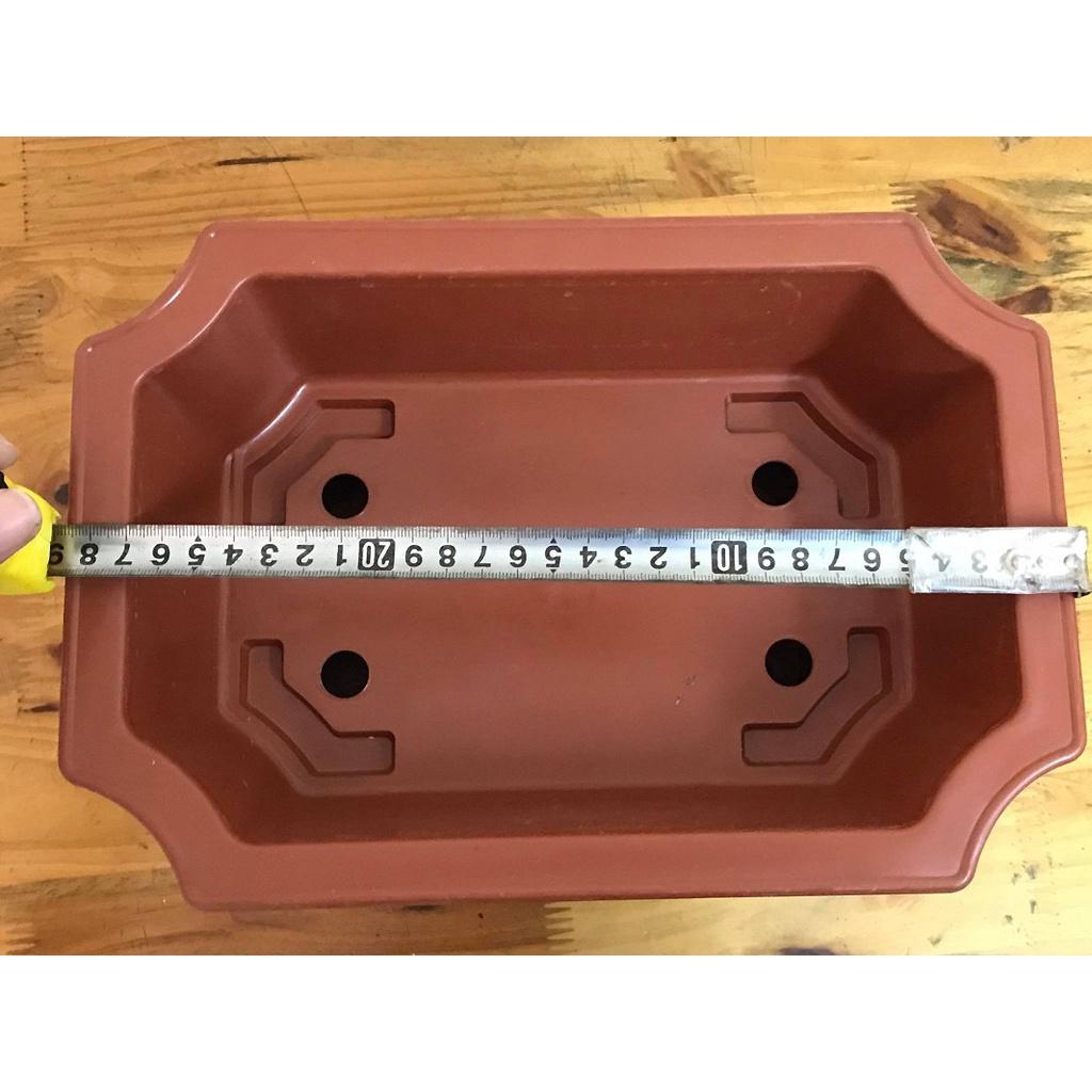 Combo 5 Chậu Nhựa Trồng Cây Mini Hình Chữ Nhật Màu Nâu Siêu Đẹp Kích Thước 28x20x8 Cm