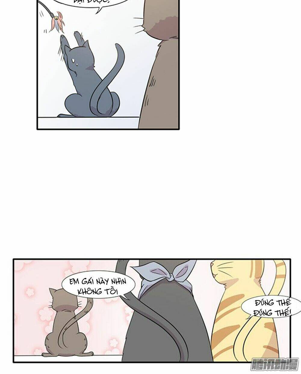 hai chú mèo totem chapter 14 10
