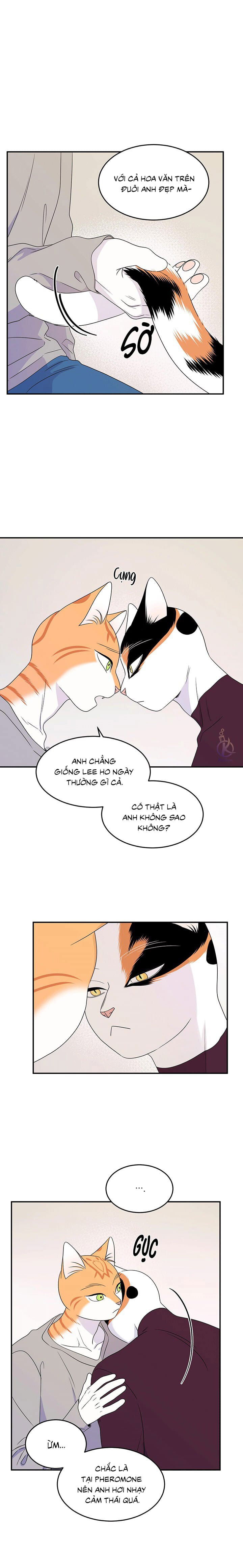 dự án xanh chapter 30 3